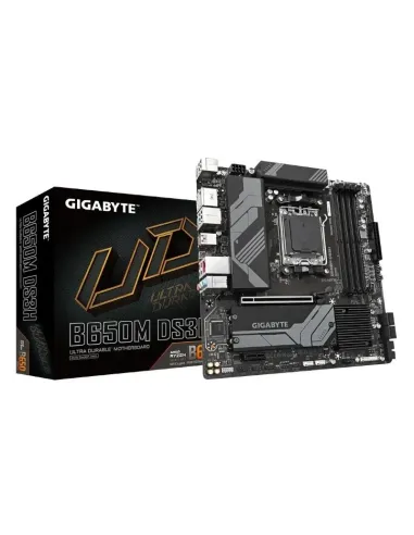 Gigabyte B650M DS3H