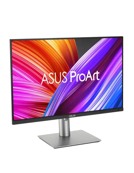 ASUS ProArt PA248CRV pantalla para PC 61,2 cm (24.1") 1920 x 1200 Pixeles WUXGA LCD Negro, Plata