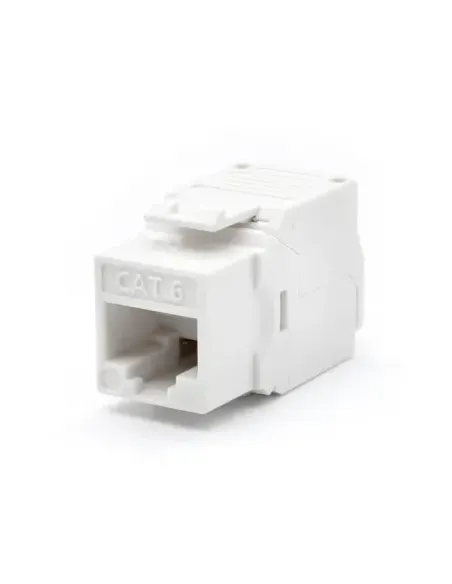 WP WPC-KEY-6UP-TL/W conector RJ45 Blanco
