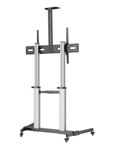 Ewent EW1592 soporte para TV 2,54 m (100") Negro, Gris