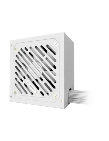 GIGABYTE P650SS ICE Fuente de Alimentación - PCIe 5.0, 80 PLUS Silver, Ventilador de 120 mm, Compatible con ATX 3.0, Enchufe EU