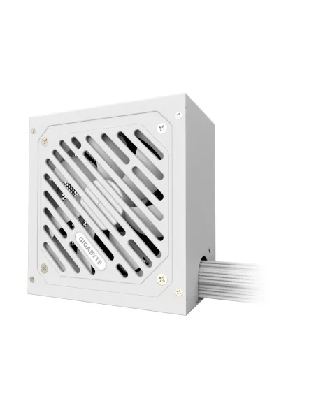 GIGABYTE P650SS ICE Fuente de Alimentación - PCIe 5.0, 80 PLUS Silver, Ventilador de 120 mm, Compatible con ATX 3.0, Enchufe EU