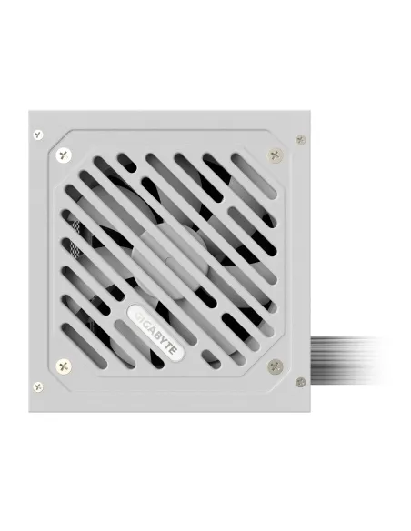 GIGABYTE P650SS ICE Fuente de Alimentación - PCIe 5.0, 80 PLUS Silver, Ventilador de 120 mm, Compatible con ATX 3.0, Enchufe EU