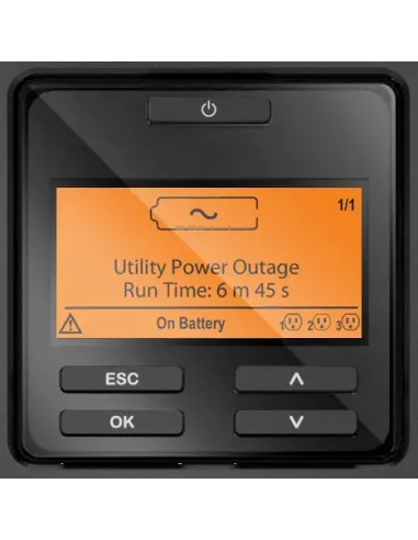 APC SRT1000XLI sistema de alimentación ininterrumpida (UPS) Doble conversión (en línea) 1 kVA 1000 W 12 salidas AC