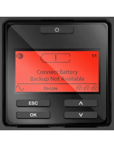 APC SRT1000XLI sistema de alimentación ininterrumpida (UPS) Doble conversión (en línea) 1 kVA 1000 W 12 salidas AC