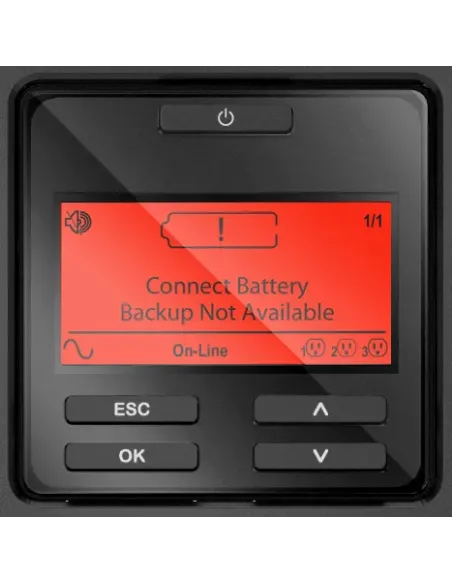 APC SRT1000XLI sistema de alimentación ininterrumpida (UPS) Doble conversión (en línea) 1 kVA 1000 W 12 salidas AC