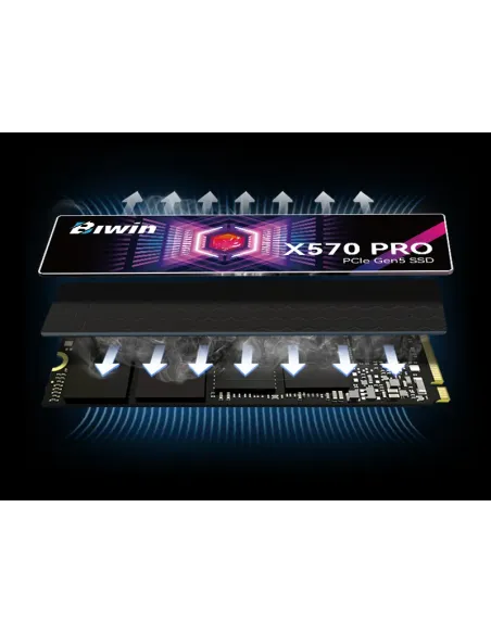 Biwin X570Pro 1 TB M.2 PCI Express 5.0 NVMe
