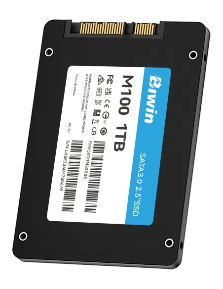 Biwin M100 1 TB 2.5" Serial ATA III