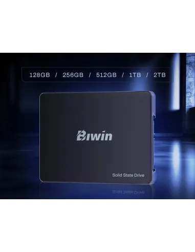 Biwin M100 1 TB 2.5" Serial ATA III