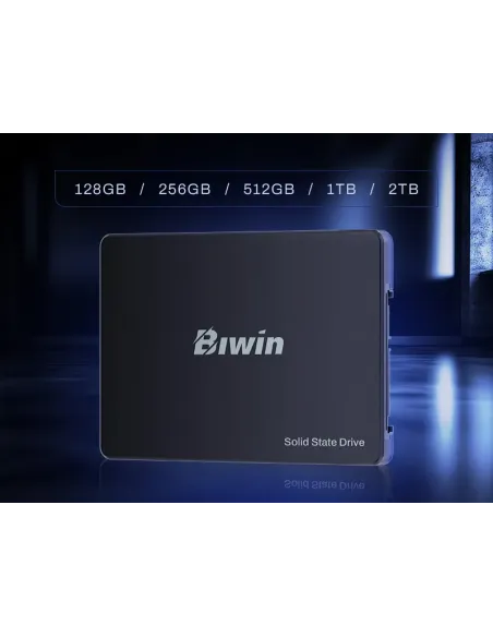 Biwin M100 1 TB 2.5" Serial ATA III