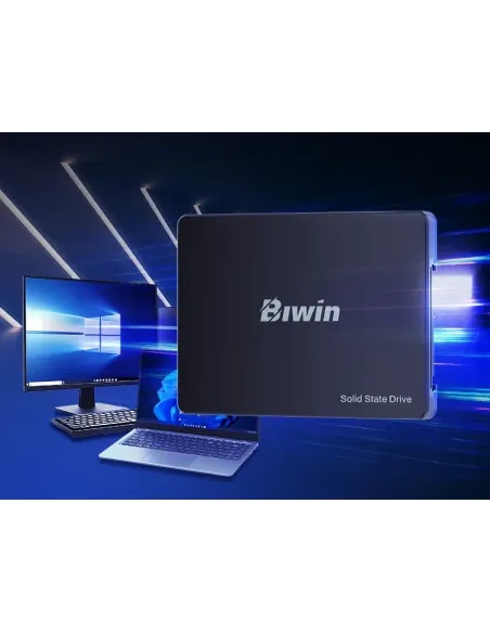 Biwin M100 1 TB 2.5" Serial ATA III