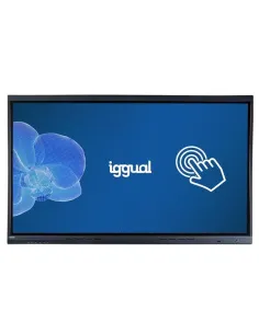 iggual IGG318805