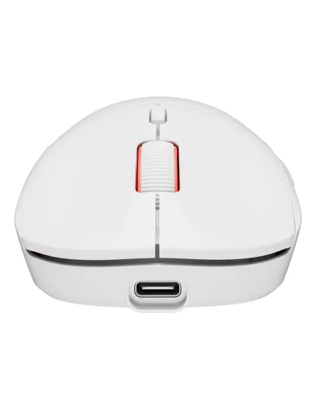 GENESIS Zircon XIII ratón Juego Ambidextro RF Wireless + USB Type-C Óptico 26000 DPI