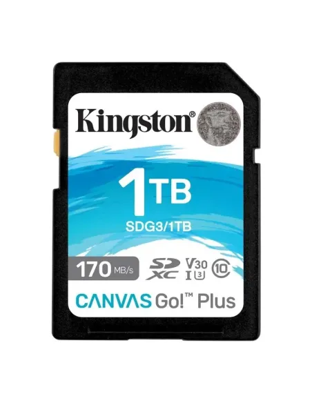 Kingston Technology Canvas Go! Plus