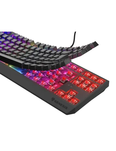 GENESIS Thor 230 TKL teclado Juego USB QWERTY Español Negro