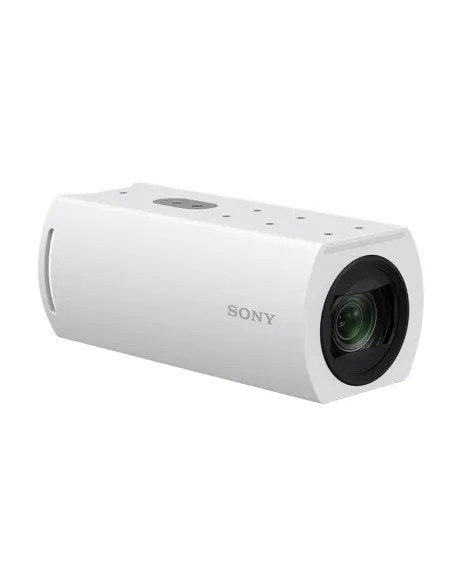 Sony SRG-XB25 Caja Cámara de seguridad IP Interior 3840 x 2160 Pixeles