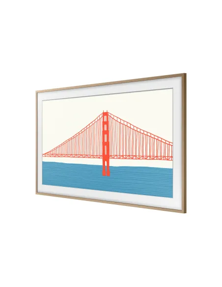 Samsung VG-SCFA55TKBXC accesorio para televisor