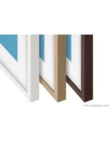 Samsung VG-SCFA55TKBXC accesorio para televisor