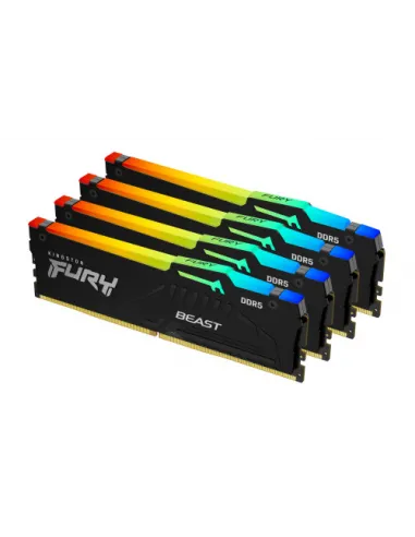 Kingston Technology FURY Beast RGB