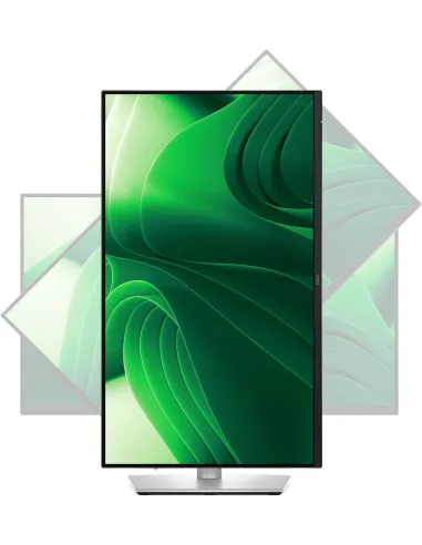 DELL Pro Plus P2425D pantalla para PC 61 cm (24") 2560 x 1440 Pixeles Quad HD LCD Negro, Plata