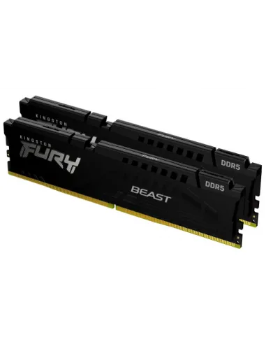 Kingston Technology FURY Beast