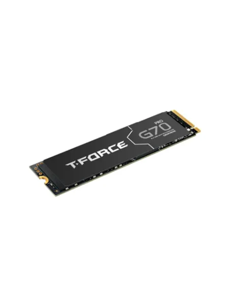 Disco duro m2 ssd 1tb pcie4 teamgroup g70 pro con disipador - l: 7400mb - s e: 5500 mb - s