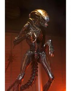 Ultimate scorched xenomorph scale action fig. 23 cm alien: romulus