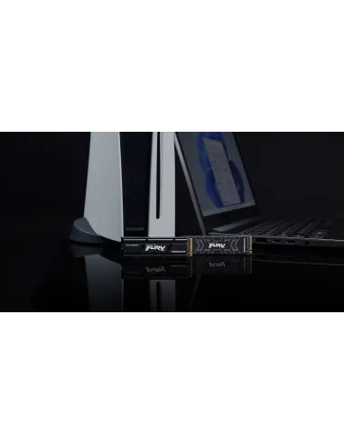 Kingston Technology 2000G RENEGADE PCIe 4.0 NVMe SSD W  Difusor térmico