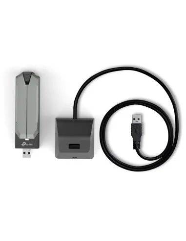 TP-Link BE6500 WLAN 2882 Mbit s