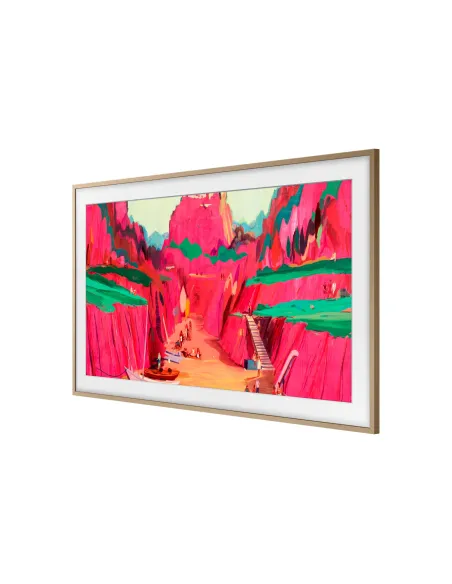 Samsung VG-SCFF65TKBXC accesorio para televisor