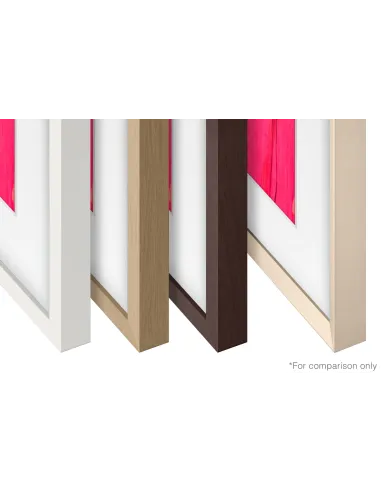 Samsung VG-SCFF65TKBXC accesorio para televisor