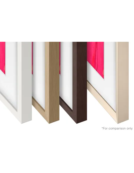 Samsung VG-SCFF65TKBXC accesorio para televisor