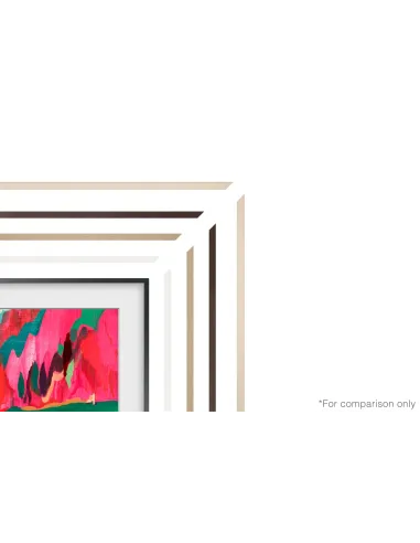 Samsung VG-SCFF65TKBXC accesorio para televisor