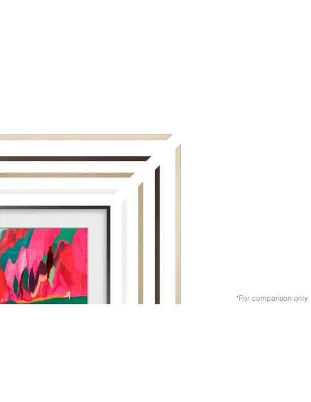 Samsung VG-SCFF65TKBXC accesorio para televisor