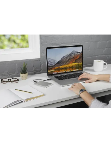 Verbatim Disco duro portátil Store 'n' Go ALU Slim 1 TB Plata