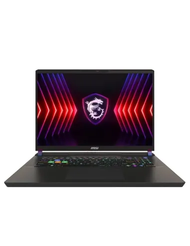 MSI Vector Vector 17 HX A14VIG-843IT