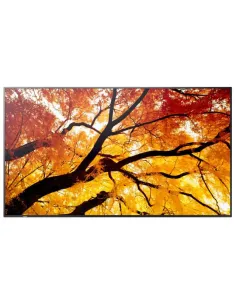 Sharp MultiSync M752 Panel plano interactivo 189,2 cm (74.5") LED 550 cd   m² 4K Ultra HD Negro 24 7