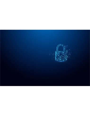 Kingston Technology IronKey 64GB Vault Privacy 50 cifrado AES-256, FIPS 197