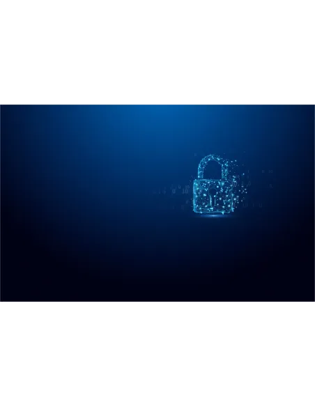 Kingston Technology IronKey 64GB Vault Privacy 50 cifrado AES-256, FIPS 197