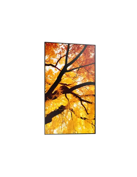 Sharp MultiSync M432 Pantalla plana para señalización digital 108 cm (42.5") LCD 550 cd   m² 4K Ultra HD Negro