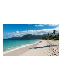 Sharp PN-UN553V LCD Interior