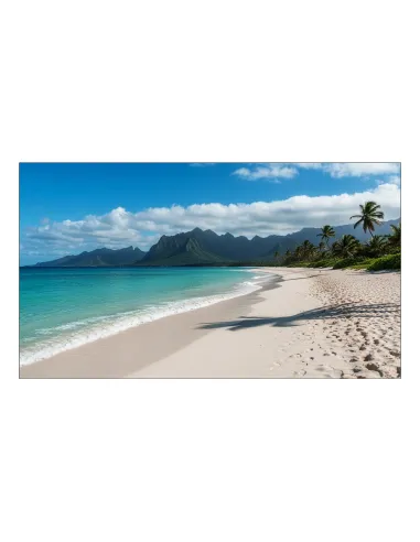 Sharp PN-UN553V LCD Interior