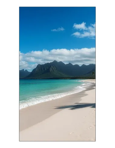 Sharp PN-UN553V LCD Interior