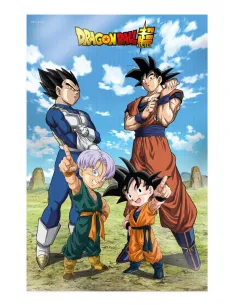 Poster 3d 58x38cm battle of gods goku vegeta family dragon ball super