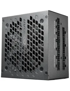 COUGAR GEX X2 850 unidad de fuente de alimentación 850 W 20+4 pin ATX ATX Negro