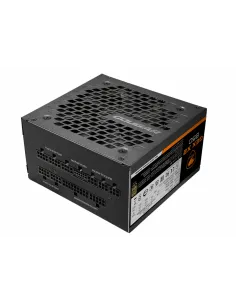 COUGAR GEX X2 850 unidad de fuente de alimentación 850 W 20+4 pin ATX ATX Negro 2