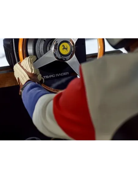 Thrustmaster 2960822 accesorio de controlador de juego Volante de carreras