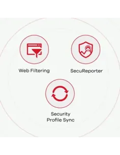 Zyxel USG FLEX 50 cortafuegos (hardware) 0,35 Gbit s 2