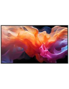 SHARP-NEC ESSENTIAL DISPLAYS M