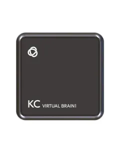 KRAMER CONTROL - HW ONLY HARDWARE PLATFORM WITH 1 INSTANCE OF KRAMER VIRTUALBRAIN GEN2- KC-VIRTUALBRAIN1(GEN2) (30-00022790)